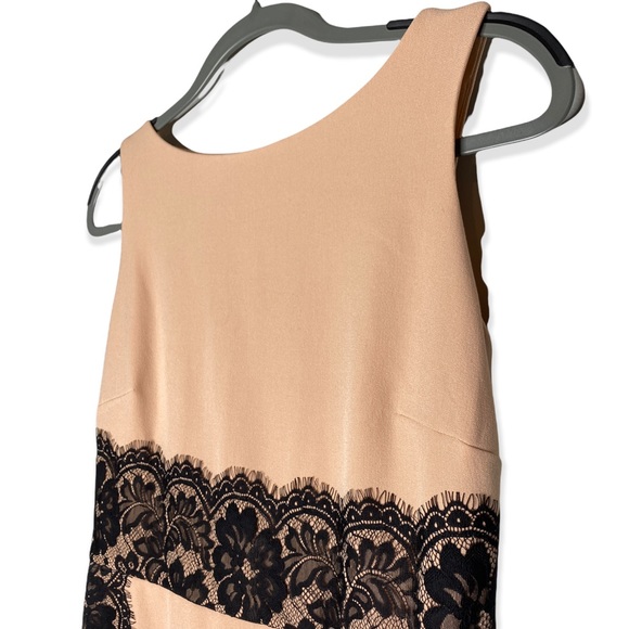 The Limited Blush w/ Black Lace Sleeveless Mid length Dress Women's Size 4 - Picture 3 of 9